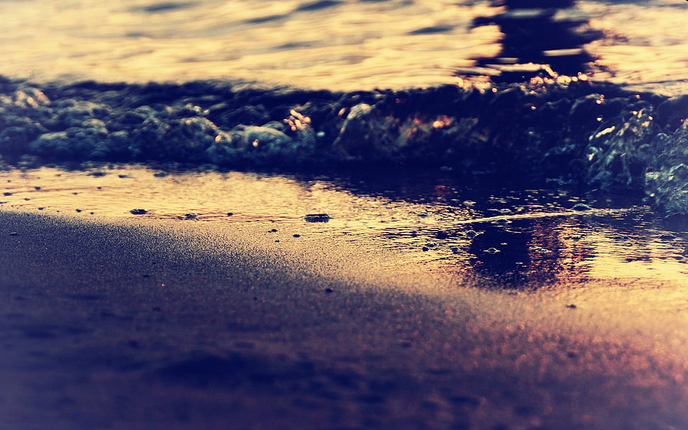seashore, beach, waves, summer, sunset HD wallpaper