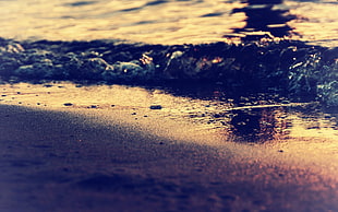 seashore, beach, waves, summer, sunset HD wallpaper