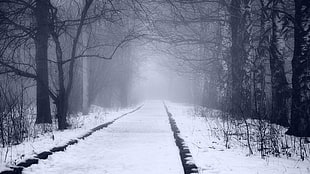 white and black area rug, snow, winter, railway, mist