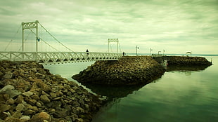 white bridge on the middle of the sea HD wallpaper