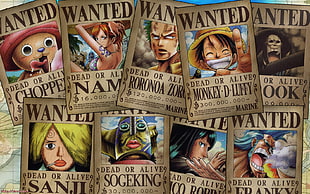 One Piece Wanted character collection
