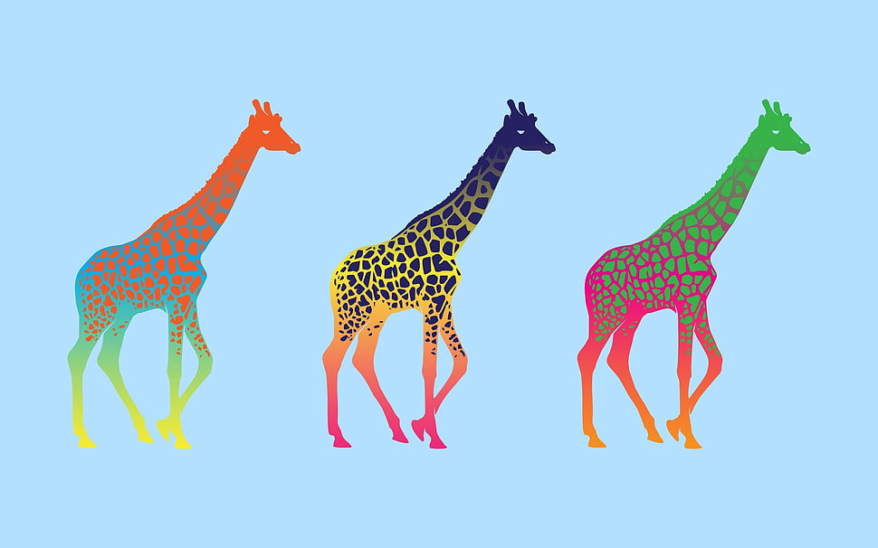 three giraffe illustrations HD wallpaper