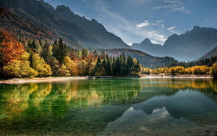 calm body of water surrounded with trees and mountains