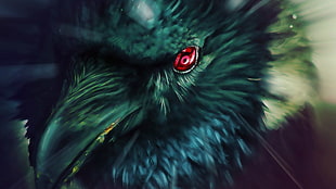 black bird with red eye