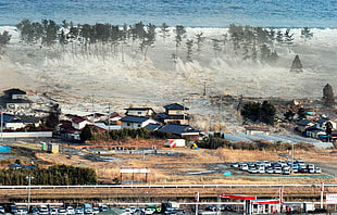 white and blue houses near body of water, Japan, earthquakes