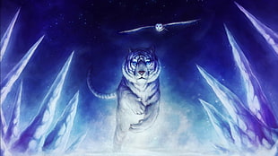 tiger and owl digital wallpaper, white tigers, owl