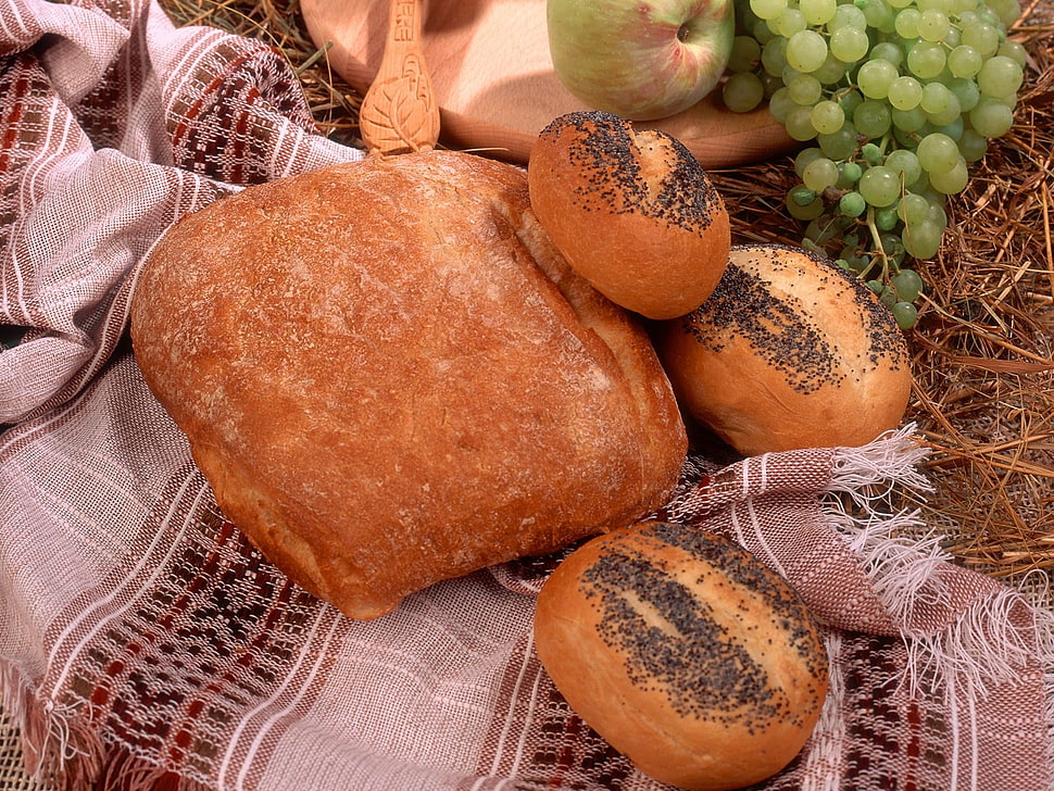 brown breads HD wallpaper