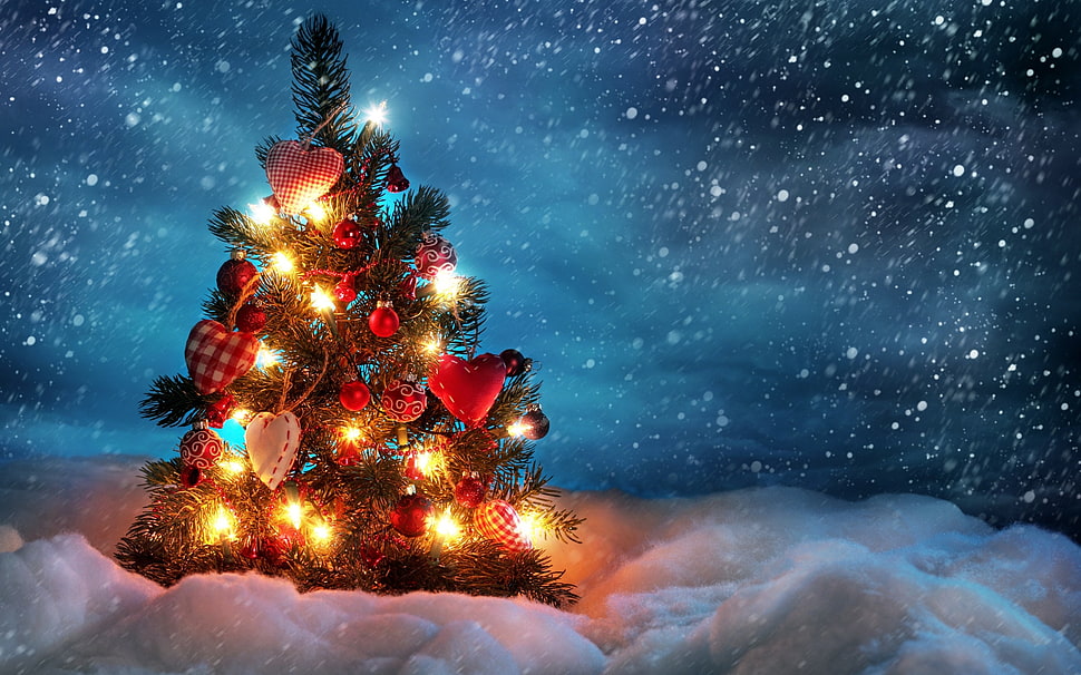 photo of Christmas Tree HD wallpaper