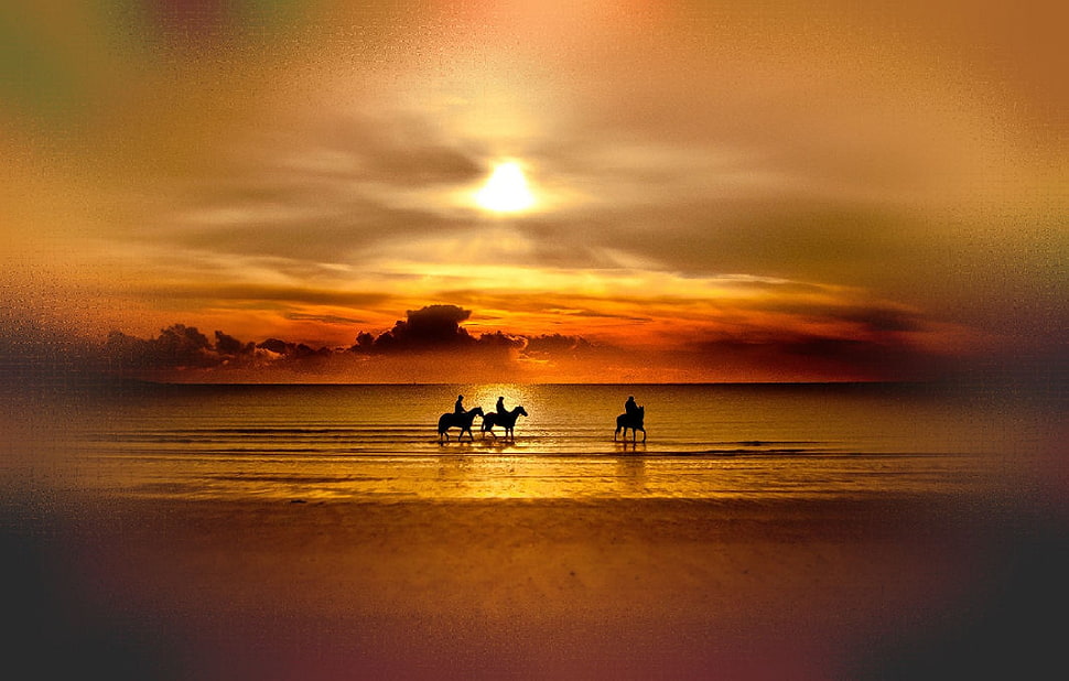 silhouette photo of three person riding on horse beside seashore, lake, sunset, horse, sky HD wallpaper