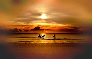 silhouette photo of three person riding on horse beside seashore, lake, sunset, horse, sky