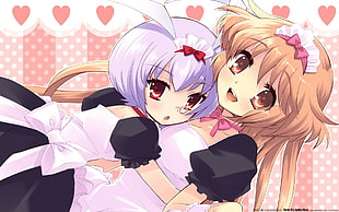 two purple and brown female anime characters