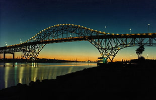 photography of bridge at night, harbor bridge