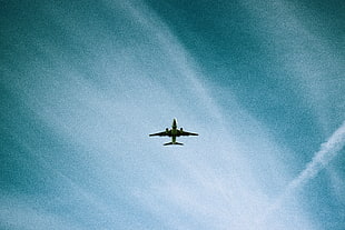 white airplane, Airplane, Sky, Flight