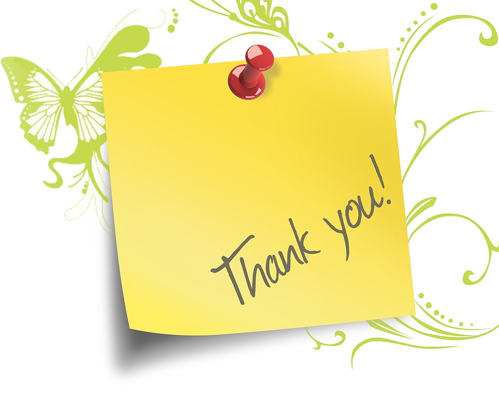 yellow Thank You! printed paper HD wallpaper