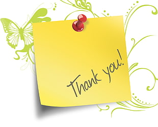 yellow Thank You! printed paper HD wallpaper