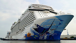 blue and white cruise ship, cruise ship