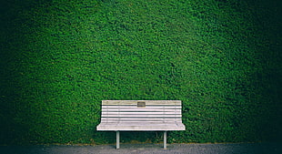 brown wooden slatted bench, bench, green, minimalism