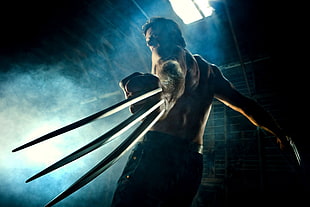 Wolverine, X-Men, Wolverine, adamantium, claws