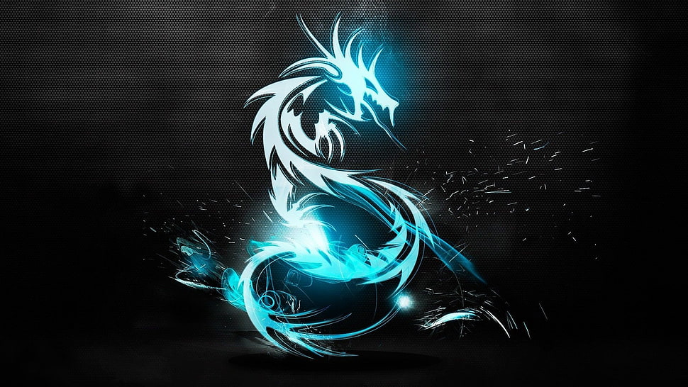 gray dragon digital wallpaper, dragon, MSI HD wallpaper