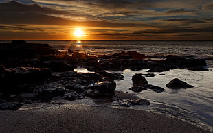 rocky seashore during dawn