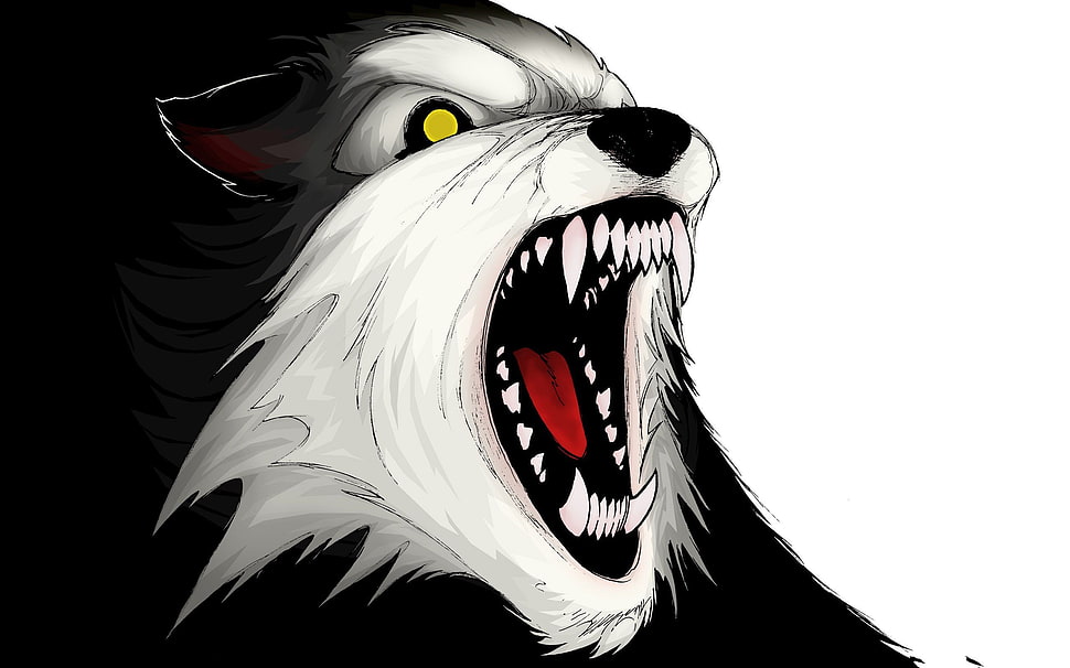 wolf illustration HD wallpaper