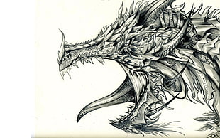 black dragon illustration, dragon, white background, pencils