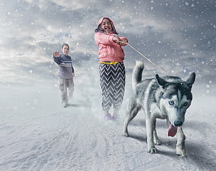 Siberian Husky, snow, dog, children, animals