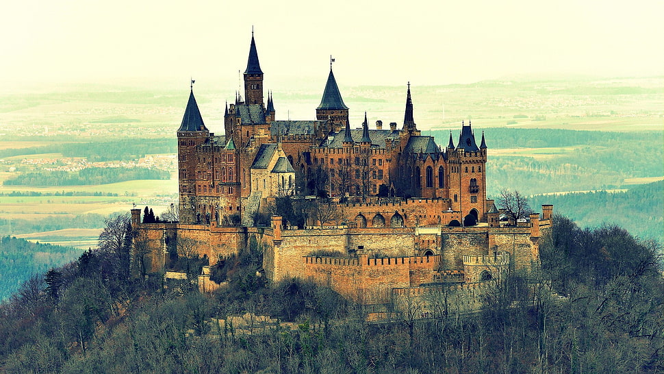 brown and black castle surrounded by forest HD wallpaper
