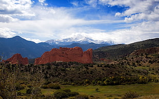 mountain filled with trees at day time