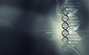 DNA strand illustration HD wallpaper