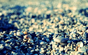 photography of stone in shallow focus lens