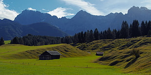 two barns on grass covered hill