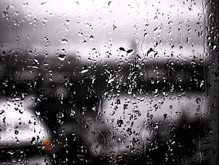 black and white floral textile, water drops, window