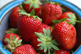 close up photo of red Strawberries in bowl HD wallpaper