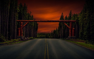brown tree log, sky, road, trees, red sky