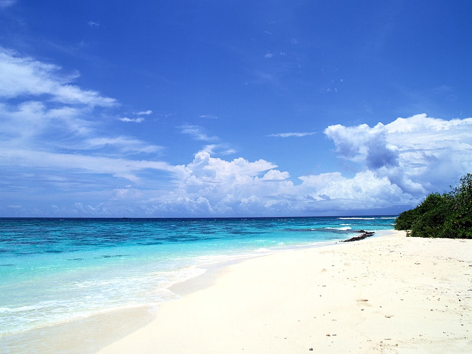 photography of empty beach HD wallpaper