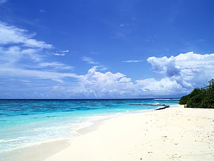 photography of empty beach