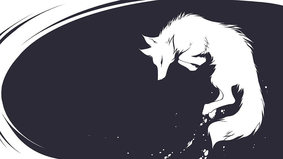 white fox wallpaper HD wallpaper