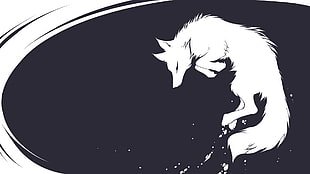 white fox wallpaper HD wallpaper