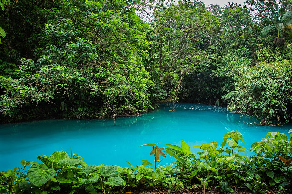 water HD wallpaper