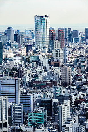 gray glass building, Shinjuku, Japan, Skyscrapers