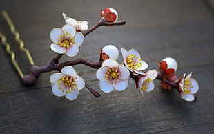 cherry blossom ceramic figurine, nature