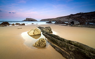 gray rocks, beach, landscape HD wallpaper