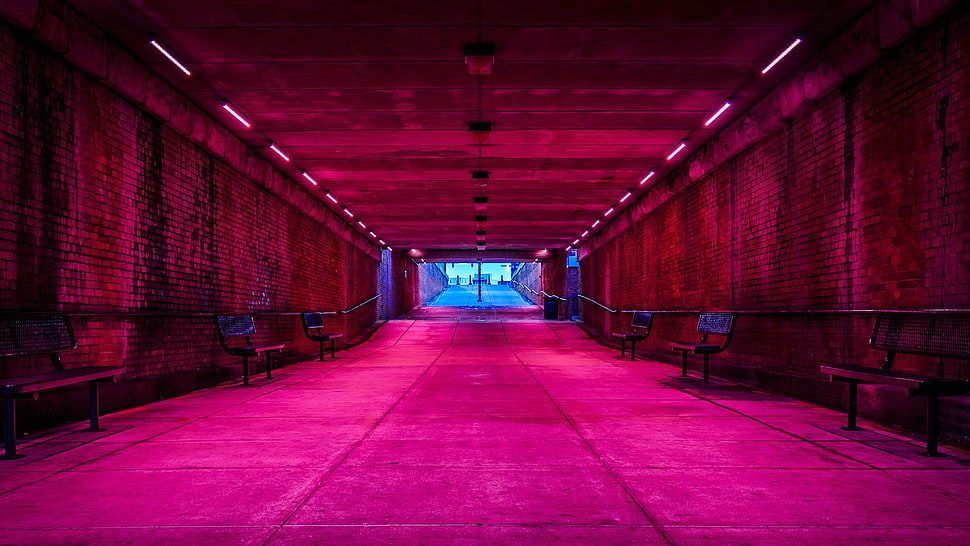 brown painted wall, tunnel, bench HD wallpaper