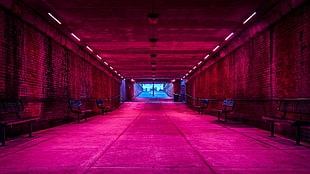 brown painted wall, tunnel, bench