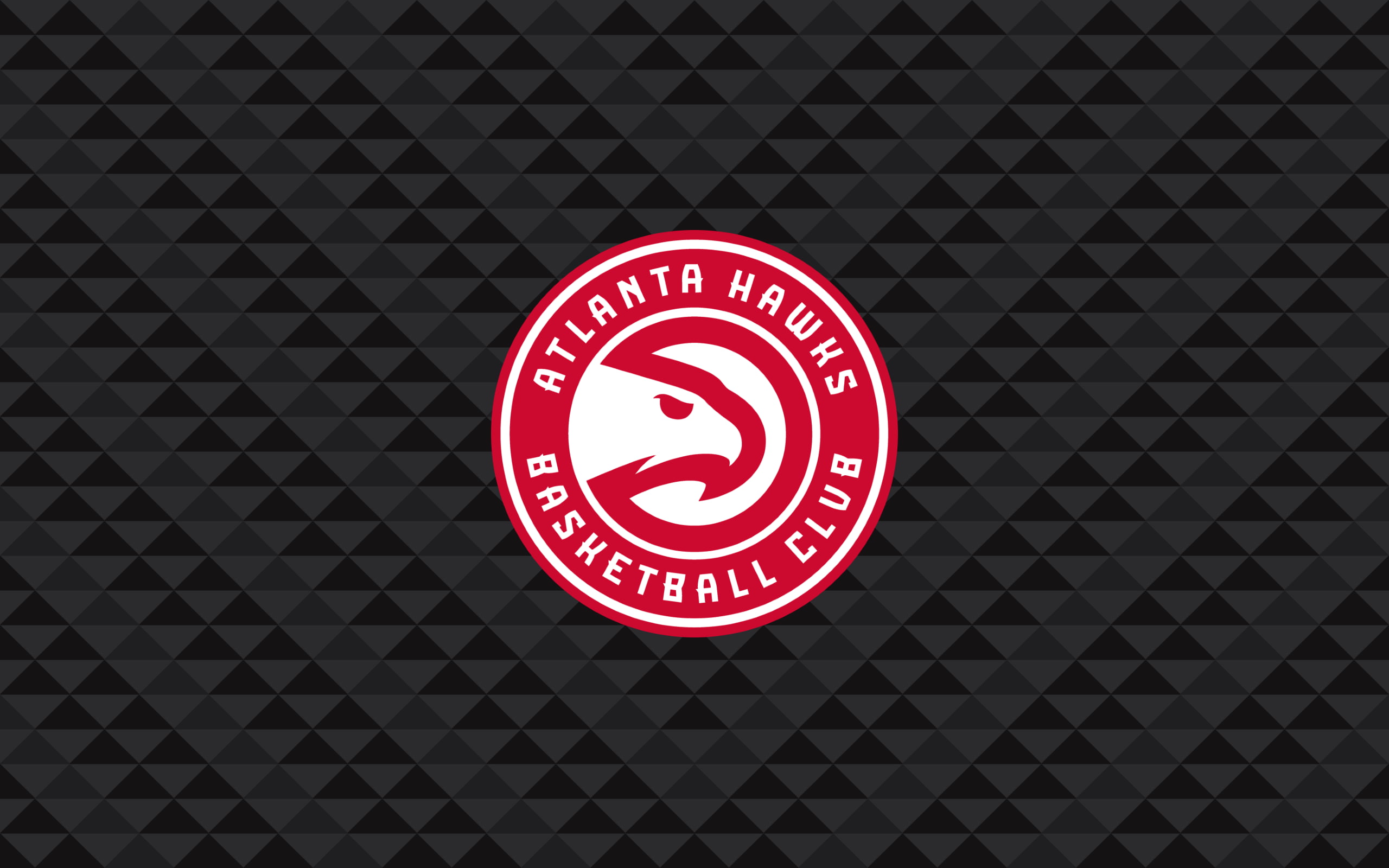 Atlanta Hawks Baseball Club logo