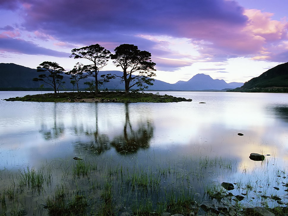 Island,  Evening,  Trees,  Outlines HD wallpaper