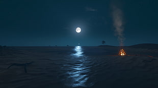 black flat screen computer monitor, video games, Stranded Deep