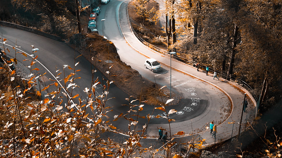 white car, fall, road, Bergen, teal HD wallpaper