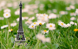 shallow focus photography of silver eiffel tower miniature surrounded by white and yellow daisy flowers